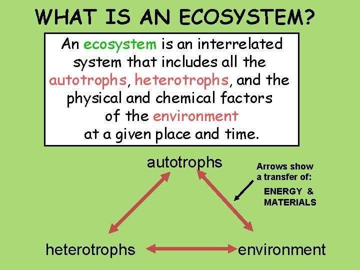 WHAT IS AN ECOSYSTEM? An ecosystem is an interrelated system that includes all the