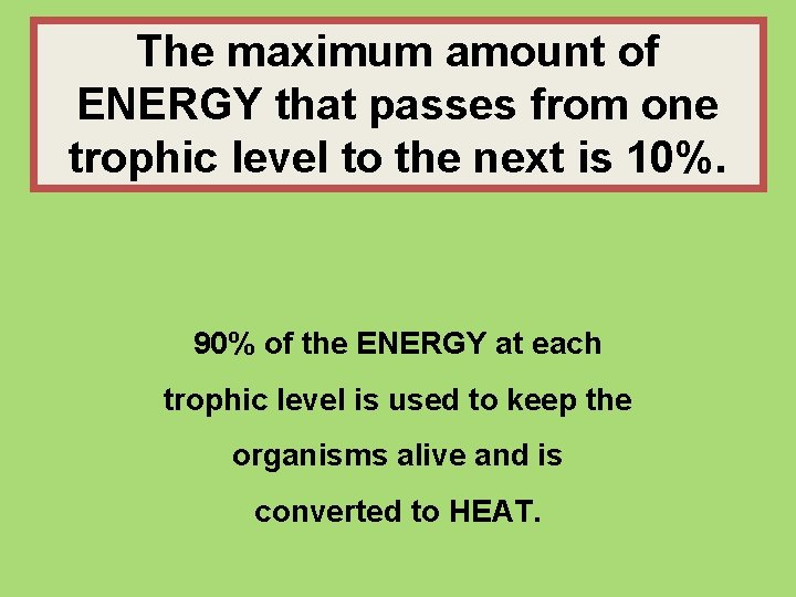 The maximum amount of ENERGY that passes from one trophic level to the next