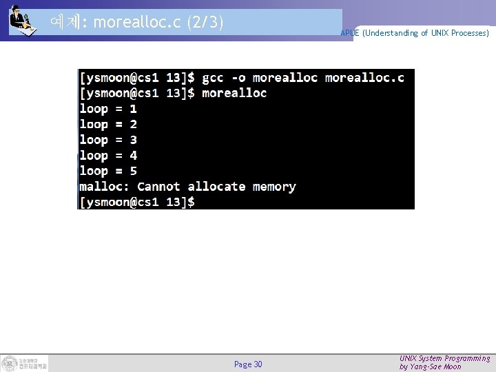 예제: morealloc. c (2/3) APUE (Understanding of UNIX Processes) Page 30 UNIX System Programming
