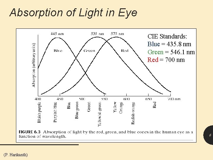 Absorption of Light in Eye CIE Standards: Blue = 435. 8 nm Green =