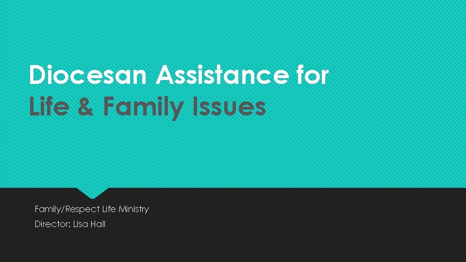 Diocesan Assistance for Life & Family Issues Family/Respect Life Ministry Director: Lisa Hall 