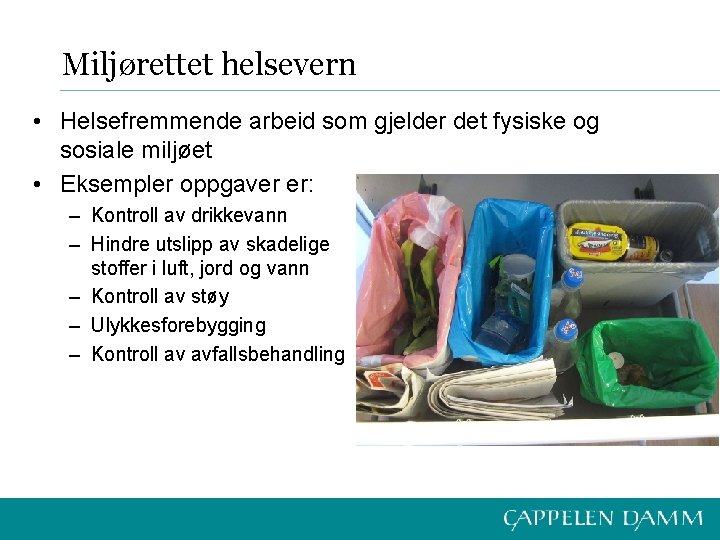 Miljørettet helsevern • Helsefremmende arbeid som gjelder det fysiske og sosiale miljøet • Eksempler