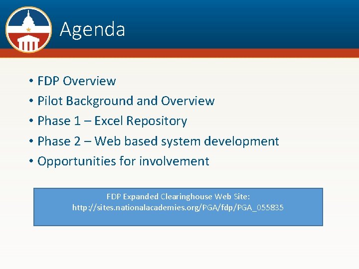 Agenda • FDP Overview • Pilot Background and Overview • Phase 1 – Excel