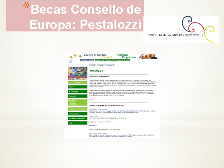 *Becas Consello de Europa: Pestalozzi 