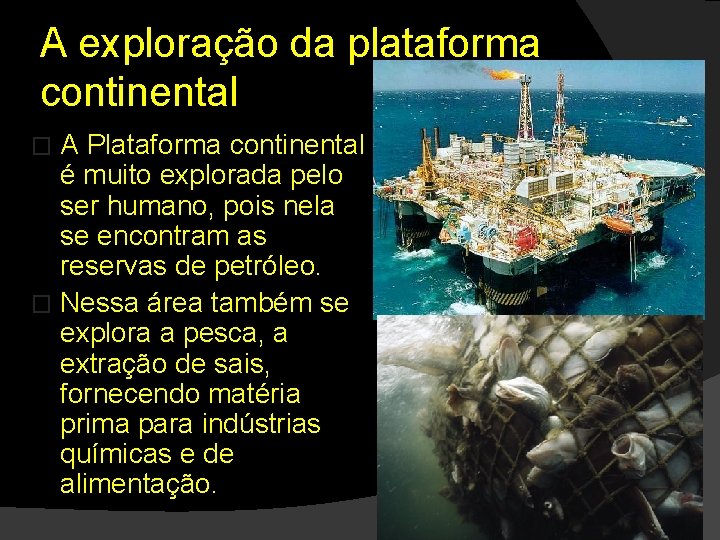 A exploração da plataforma continental A Plataforma continental é muito explorada pelo ser humano,