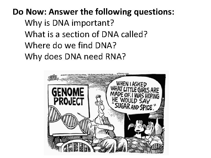 Do Now: Answer the following questions: Why is DNA important? What is a section