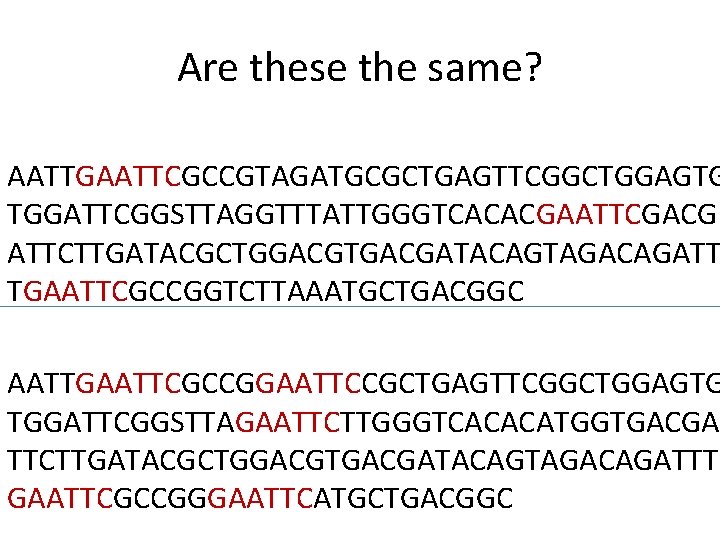 Are these the same? AATTGAATTCGCCGTAGATGCGCTGAGTTCGGCTGGAGTG TGGATTCGGSTTAGGTTTATTGGGTCACACGAATTCGACG ATTCTTGATACGCTGGACGTGACGATACAGTAGACAGATT TGAATTCGCCGGTCTTAAATGCTGACGGC AATTGAATTCGCCGGAATTCCGCTGAGTTCGGCTGGAGTG TGGATTCGGSTTAGAATTCTTGGGTCACACATGGTGACGA TTCTTGATACGCTGGACGTGACGATACAGTAGACAGATTT GAATTCGCCGGGAATTCATGCTGACGGC 