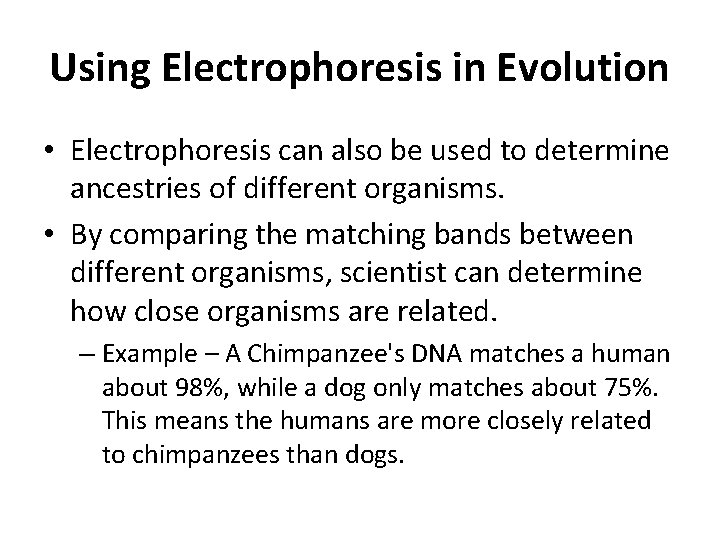 Using Electrophoresis in Evolution • Electrophoresis can also be used to determine ancestries of