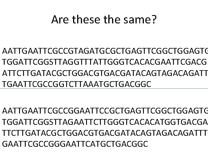 Are these the same? AATTGAATTCGCCGTAGATGCGCTGAGTTCGGCTGGAGTG TGGATTCGGSTTAGGTTTATTGGGTCACACGAATTCGACG ATTCTTGATACGCTGGACGTGACGATACAGTAGACAGATT TGAATTCGCCGGTCTTAAATGCTGACGGC AATTGAATTCGCCGGAATTCCGCTGAGTTCGGCTGGAGTG TGGATTCGGSTTAGAATTCTTGGGTCACACATGGTGACGA TTCTTGATACGCTGGACGTGACGATACAGTAGACAGATTT GAATTCGCCGGGAATTCATGCTGACGGC 