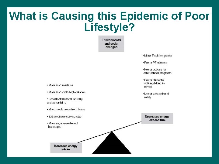 What is Causing this Epidemic of Poor Lifestyle? 