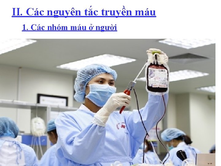 II. Các nguyên tắc truyền máu 1. Các nhóm máu ở người 