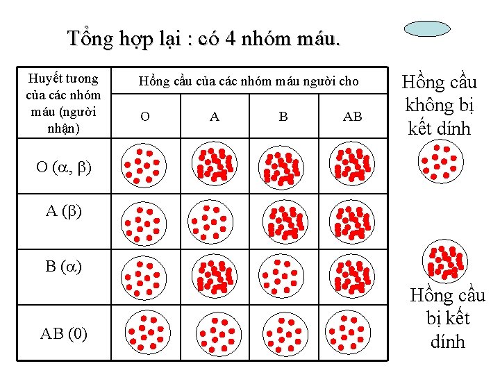 Tổng hợp lại : có 4 nhóm máu. Huyết tương của các nhóm máu