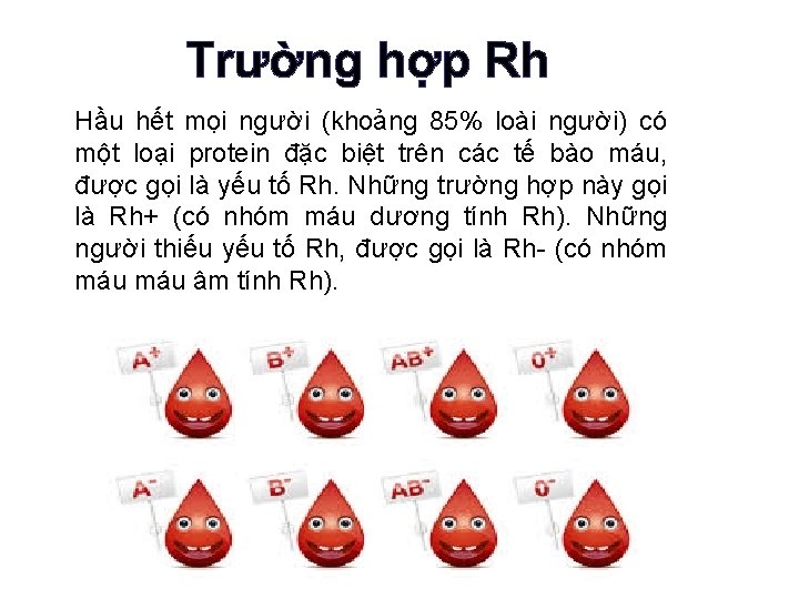 Trường hợp Rh Hầu hết mọi người (khoảng 85% loài người) có một loại