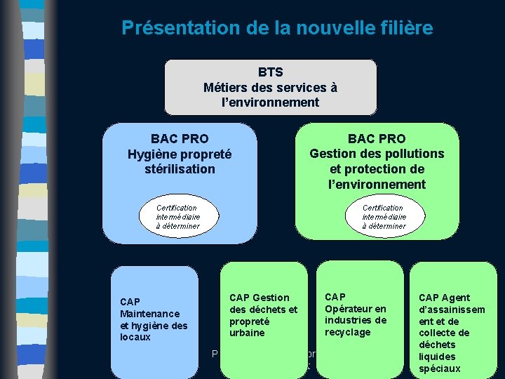 Présentation de la nouvelle filière BTS Métiers des services à l’environnement BAC PRO Hygiène