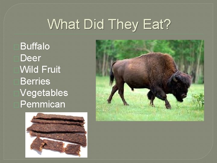 What Did They Eat? �Buffalo �Deer �Wild Fruit �Berries �Vegetables �Pemmican 