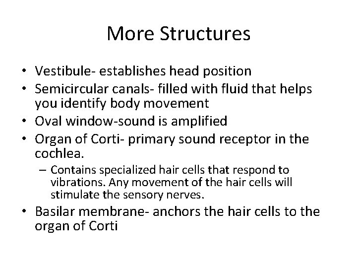 More Structures • Vestibule- establishes head position • Semicircular canals- filled with fluid that