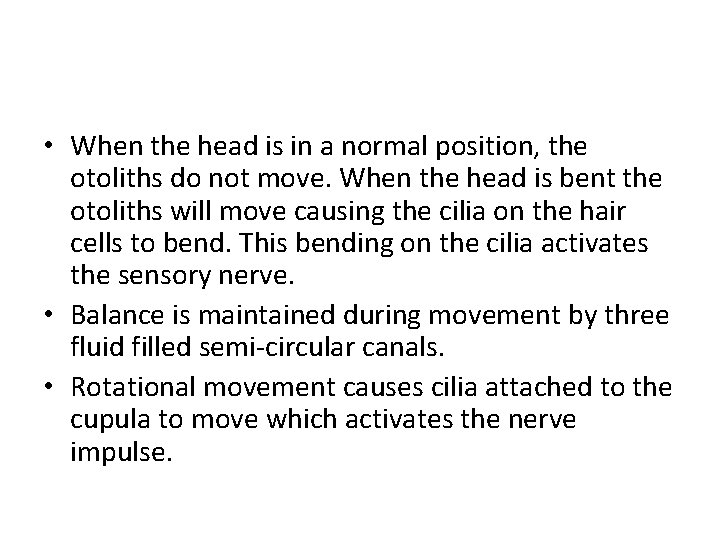  • When the head is in a normal position, the otoliths do not