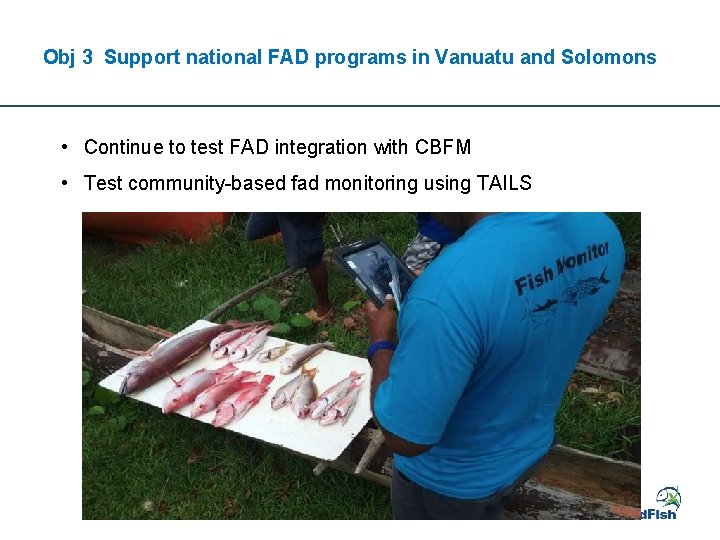 Obj 3 Support national FAD programs in Vanuatu and Solomons • Continue to test