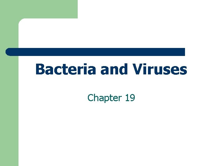 Bacteria and Viruses Chapter 19 