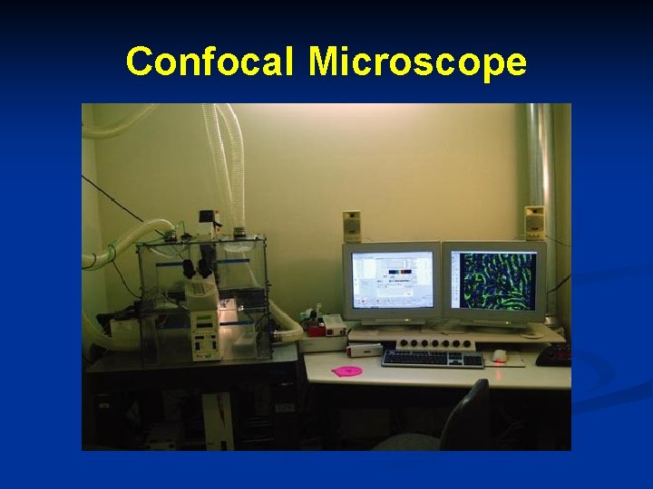Confocal Microscope 