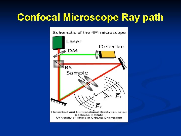 Confocal Microscope Ray path 