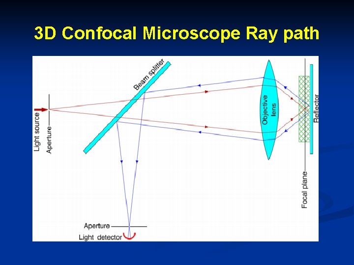 3 D Confocal Microscope Ray path 