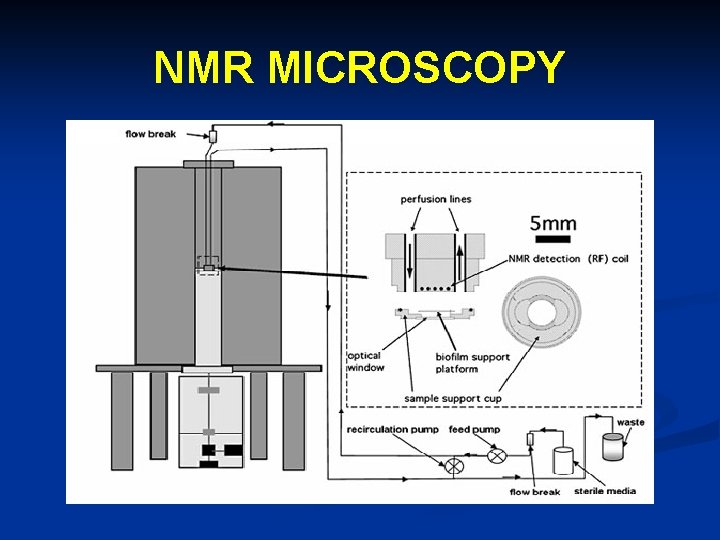 NMR MICROSCOPY 