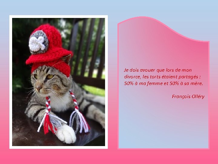 Je dois avouer que lors de mon divorce, les torts étaient partagés : 50%