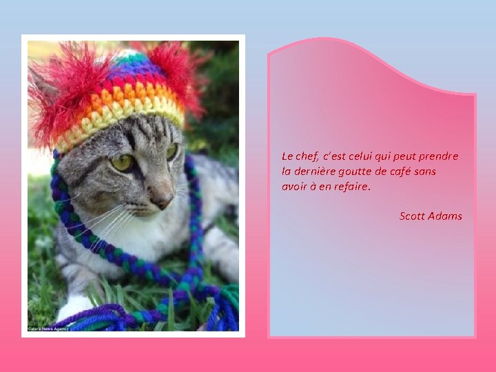 Le chef, c’est celui qui peut prendre la dernière goutte de café sans avoir