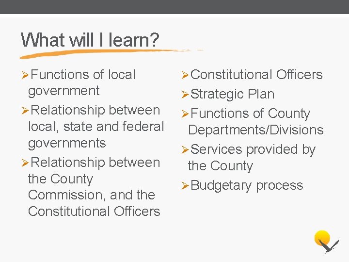 What will I learn? ØFunctions of local ØConstitutional Officers government ØRelationship between local, state