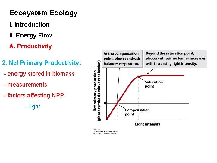 Ecosystem Ecology I. Introduction II. Energy Flow A. Productivity 2. Net Primary Productivity: -