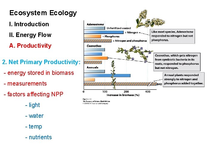 Ecosystem Ecology I. Introduction II. Energy Flow A. Productivity 2. Net Primary Productivity: -