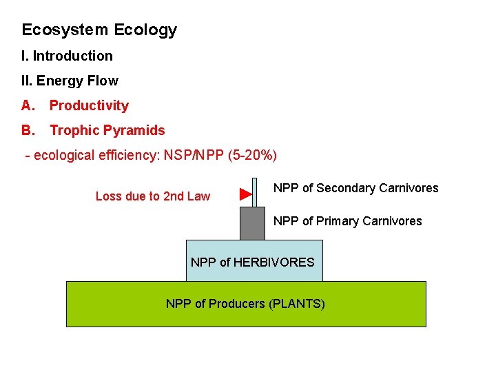 Ecosystem Ecology I. Introduction II. Energy Flow A. Productivity B. Trophic Pyramids - ecological