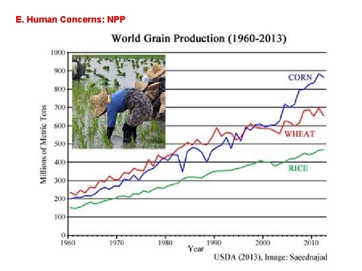 E. Human Concerns: NPP 