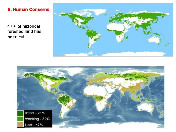 E. Human Concerns 47% of historical forested land has been cut 