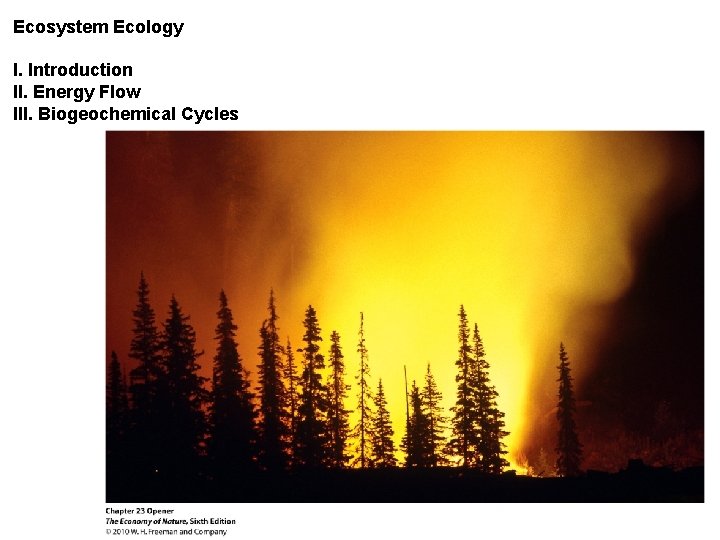 Ecosystem Ecology I. Introduction II. Energy Flow III. Biogeochemical Cycles 