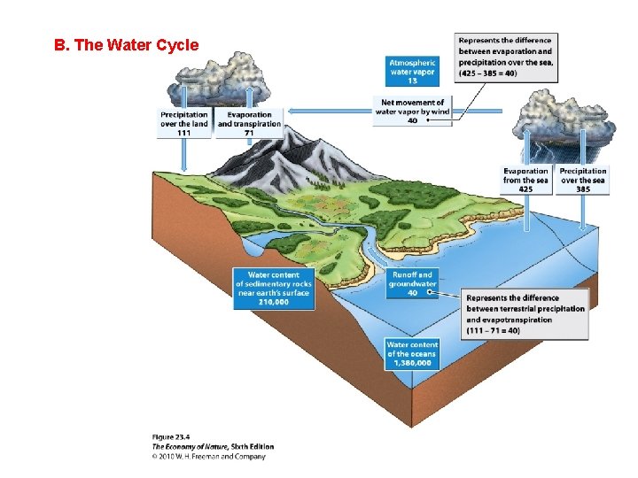 B. The Water Cycle 