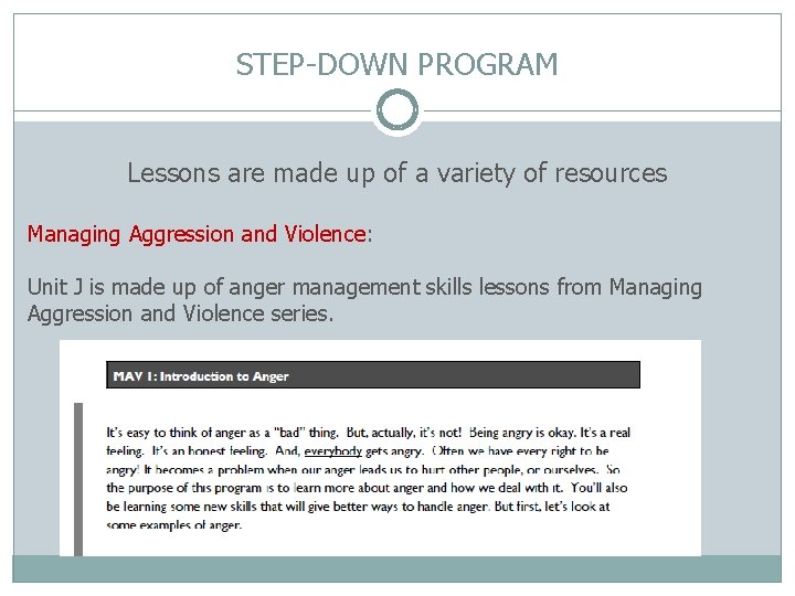 STEP-DOWN PROGRAM Lessons are made up of a variety of resources Managing Aggression and