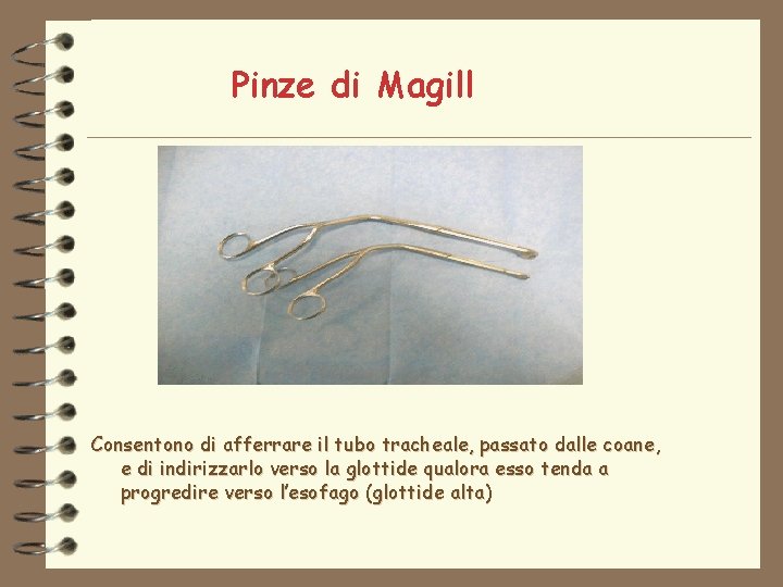 Pinze di Magill Consentono di afferrare il tubo tracheale, passato dalle coane, e di