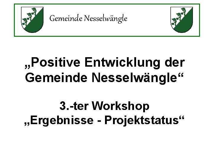 Gemeinde Nesselwängle „Positive Entwicklung der Gemeinde Nesselwängle“ 3. -ter Workshop „Ergebnisse - Projektstatus“ 