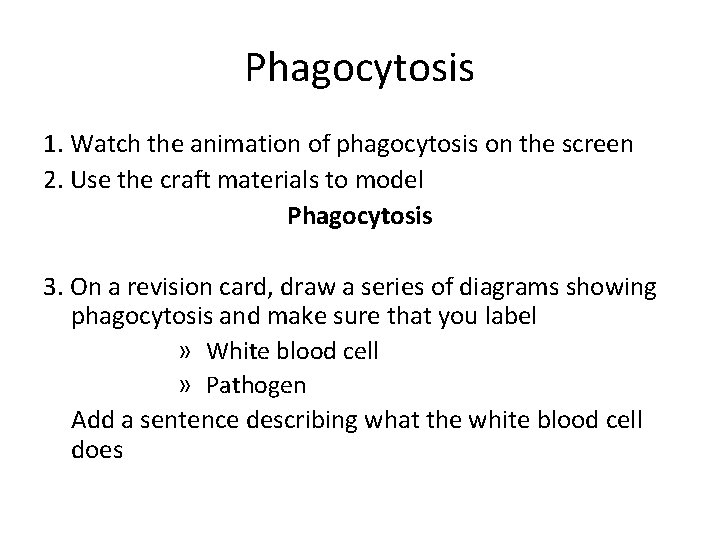 Phagocytosis 1. Watch the animation of phagocytosis on the screen 2. Use the craft