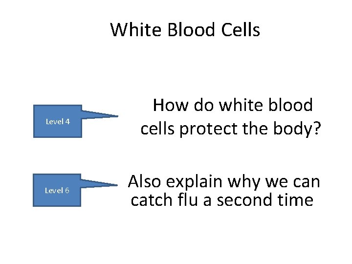White Blood Cells Level 4 Level 6 How do white blood cells protect the