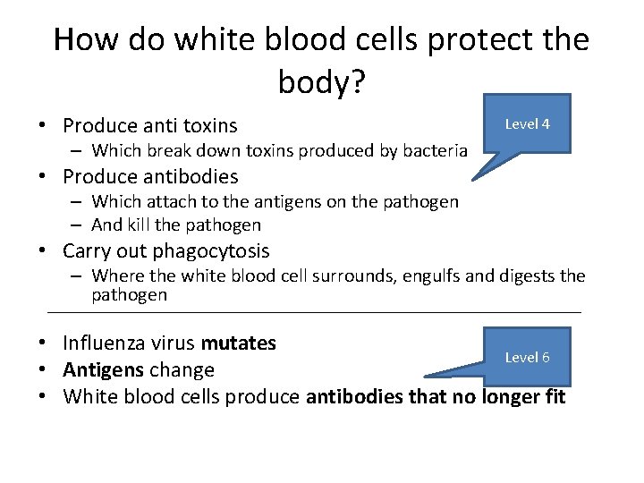 How do white blood cells protect the body? • Produce anti toxins Level 4