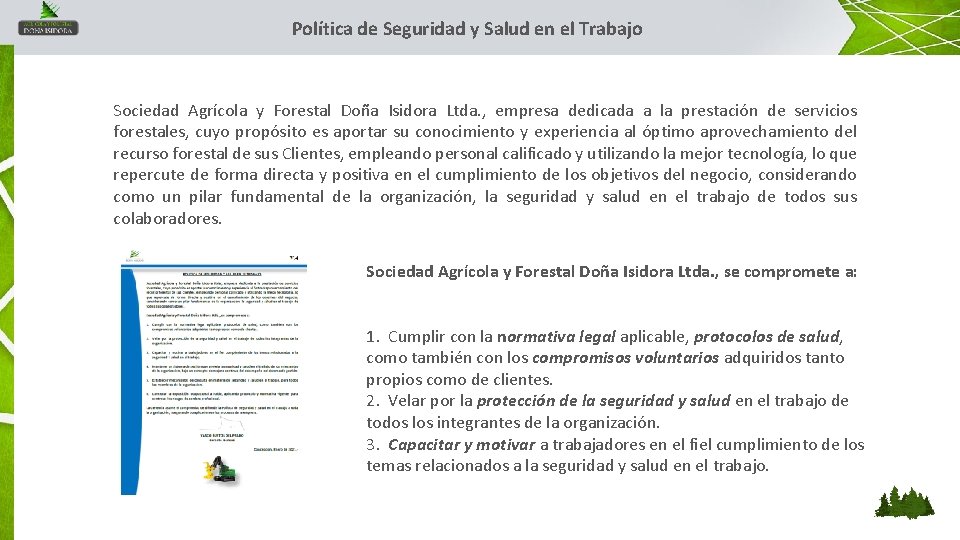 Política de Seguridad y Salud en el Trabajo Sociedad Agrícola y Forestal Doña Isidora Política de Seguridad y Salud en el Trabajo Sociedad Agrícola y Forestal Doña Isidora