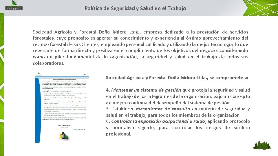 Política de Seguridad y Salud en el Trabajo Sociedad Agrícola y Forestal Doña Isidora Política de Seguridad y Salud en el Trabajo Sociedad Agrícola y Forestal Doña Isidora