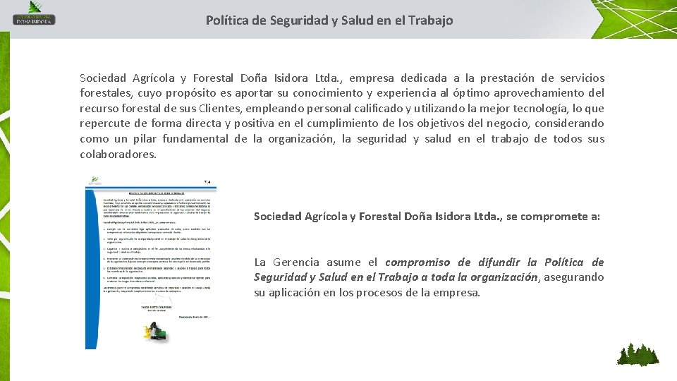 Política de Seguridad y Salud en el Trabajo Sociedad Agrícola y Forestal Doña Isidora Política de Seguridad y Salud en el Trabajo Sociedad Agrícola y Forestal Doña Isidora