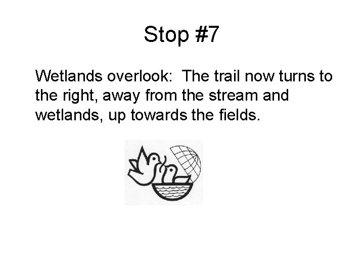 Stop #7 Wetlands overlook: The trail now turns to the right, away from the