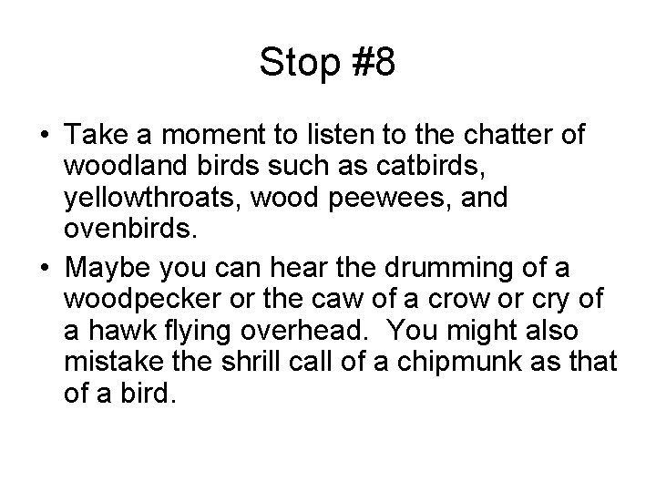 Stop #8 • Take a moment to listen to the chatter of woodland birds