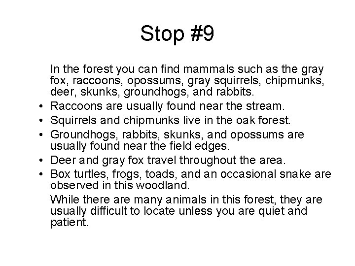 Stop #9 • • • In the forest you can find mammals such as