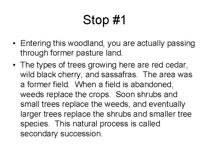 Stop #1 • Entering this woodland, you are actually passing through former pasture land.